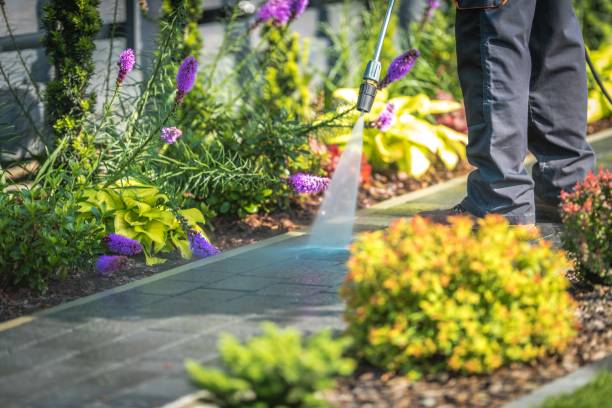 Best Winterizing Services  in Annetta, TX